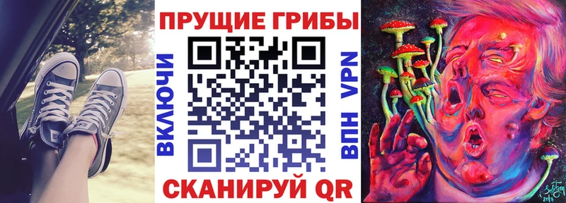 Галлюциногенные грибы GOLDEN TEACHER  где найти наркотики  Великий Устюг 